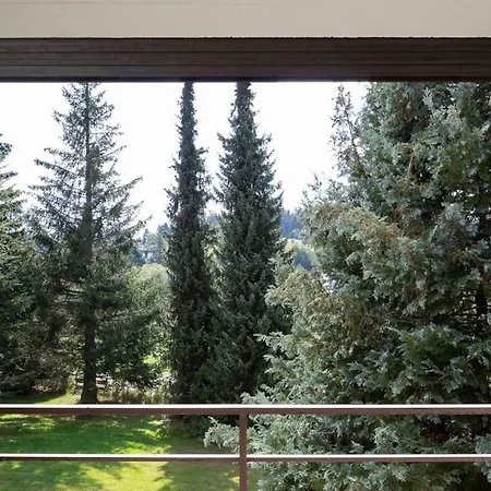 Apartman Blackforest - 4u